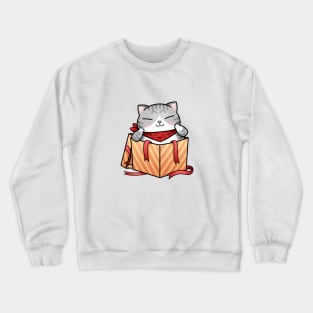 Cat Gift Box Crewneck Sweatshirt